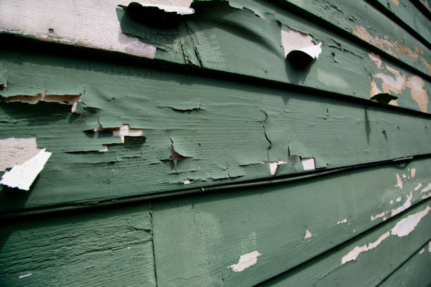 Best Siding Painting and Refinishing  in Gregory, TX